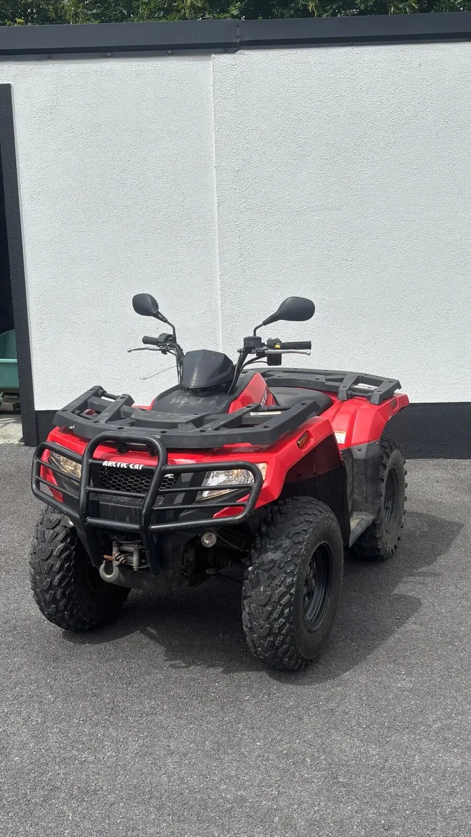 Arctic cat - Image 1