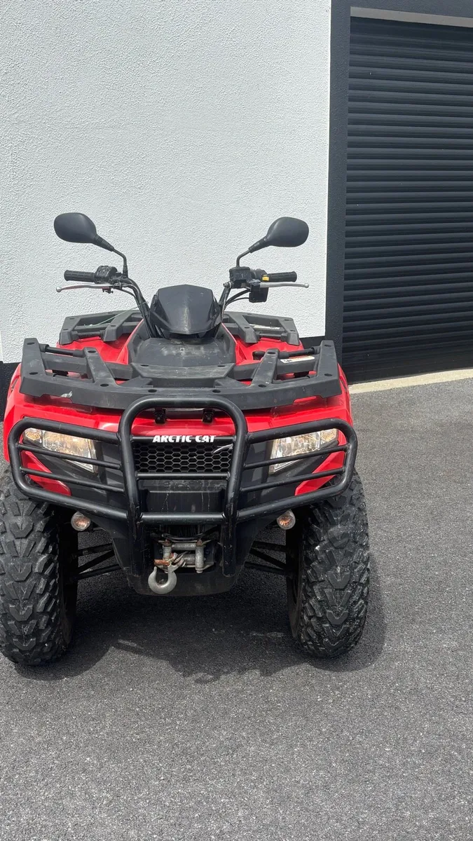Arctic cat - Image 2