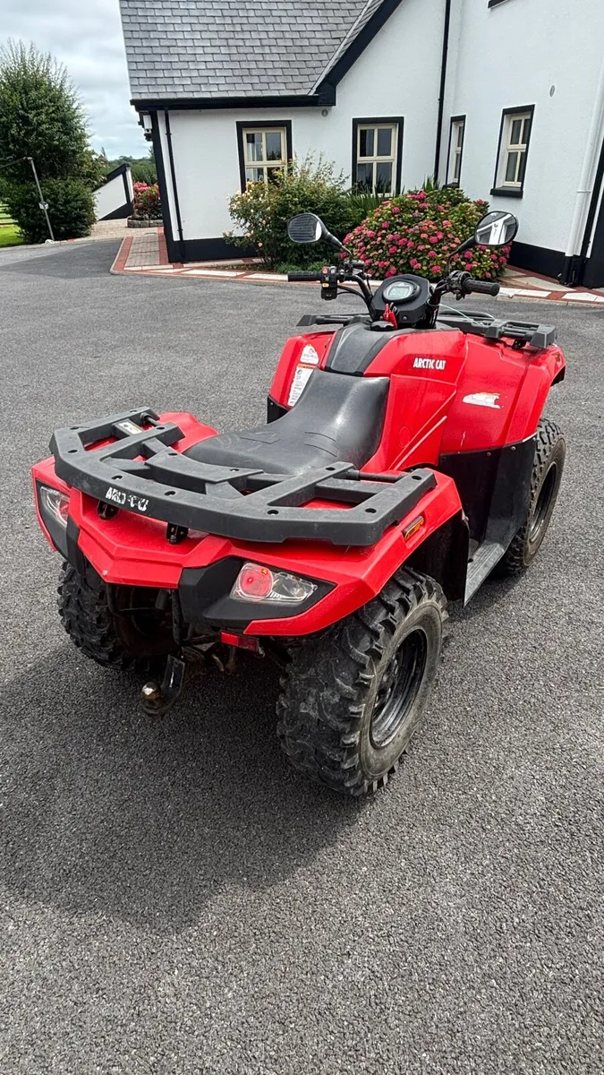 Arctic cat - Image 4