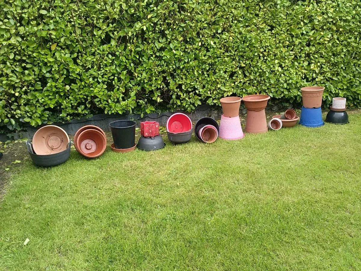 Flower pots and hanging baskets - Image 3
