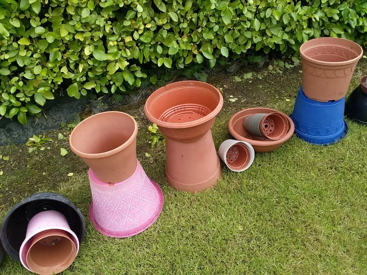 Flower pots and hanging baskets - Image 1