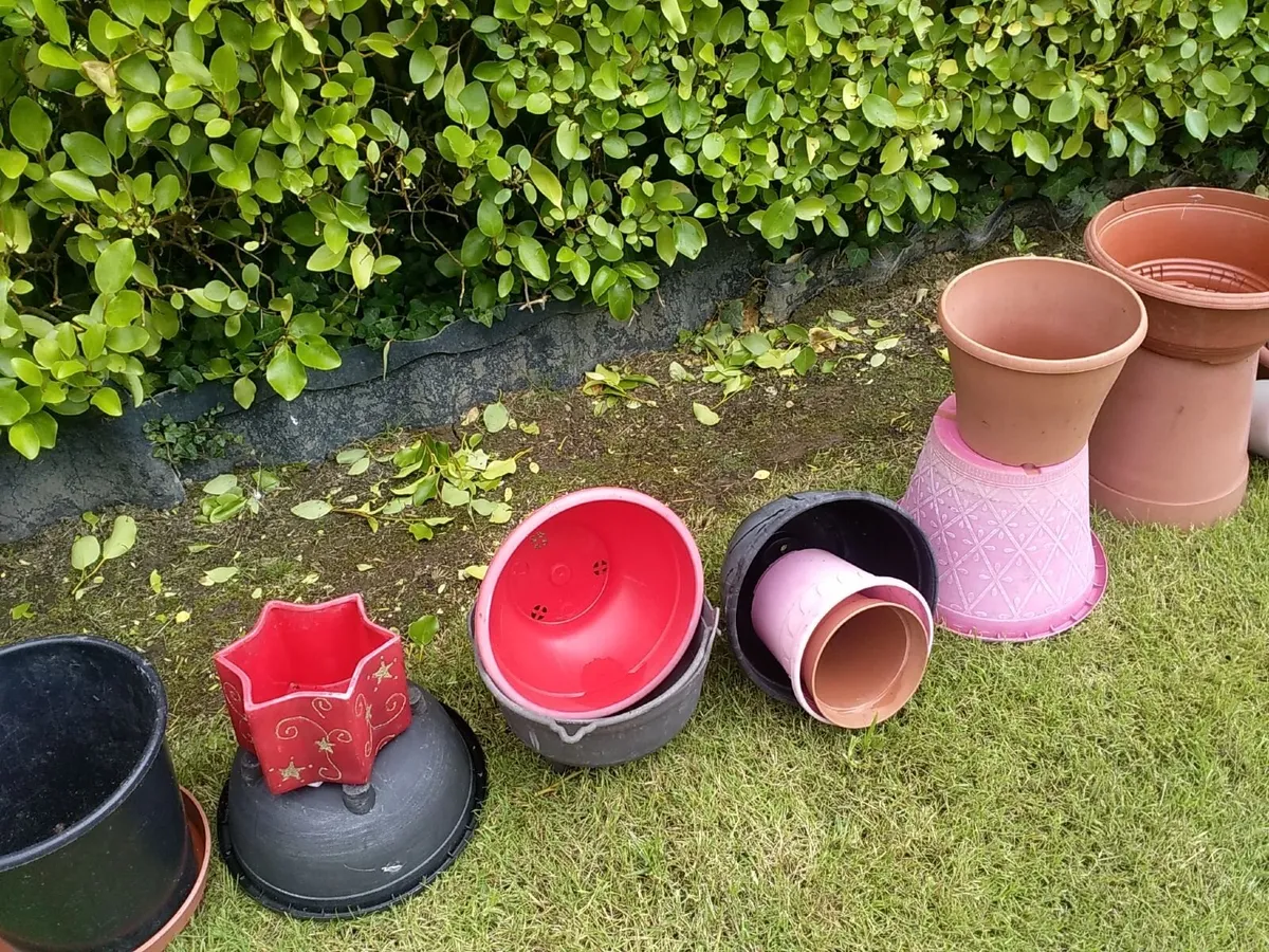 Flower pots and hanging baskets - Image 4