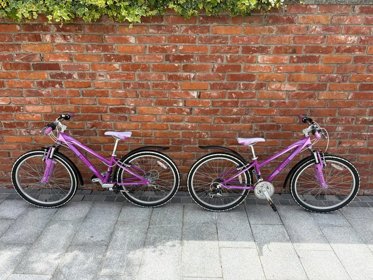 Cuda 24” Bike - Image 4
