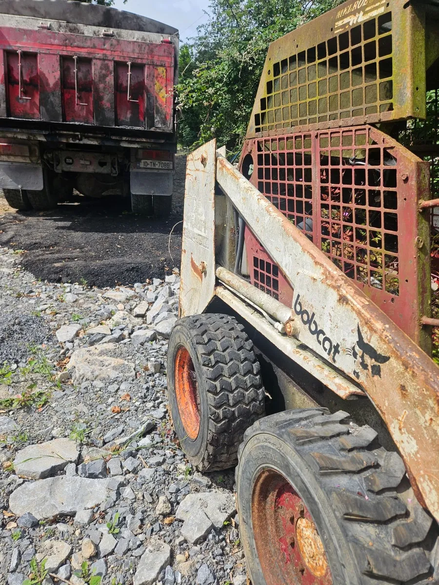 Bobcat - Image 3