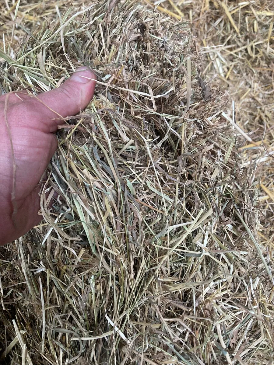 Small Squares Bales Of Hay - Image 1