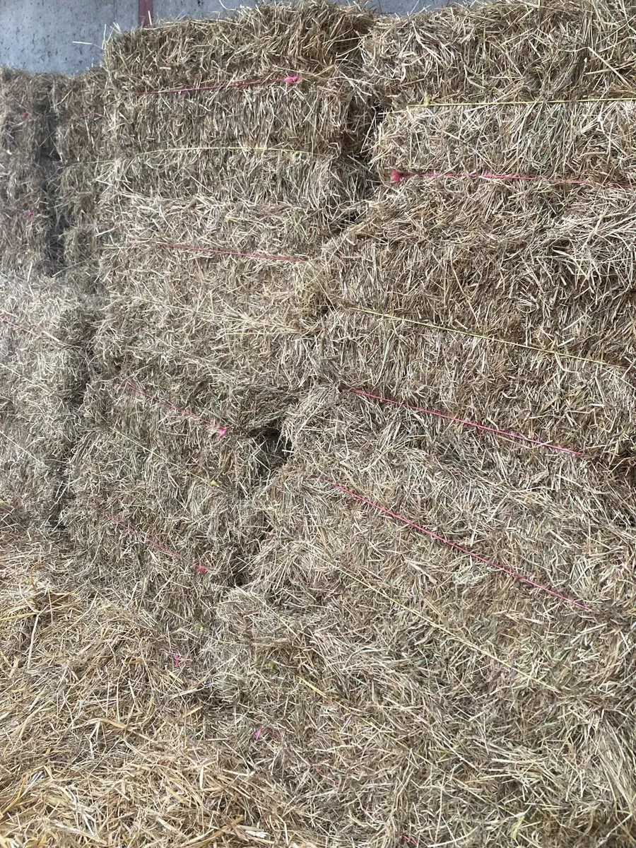 Small Squares Bales Of Hay - Image 2