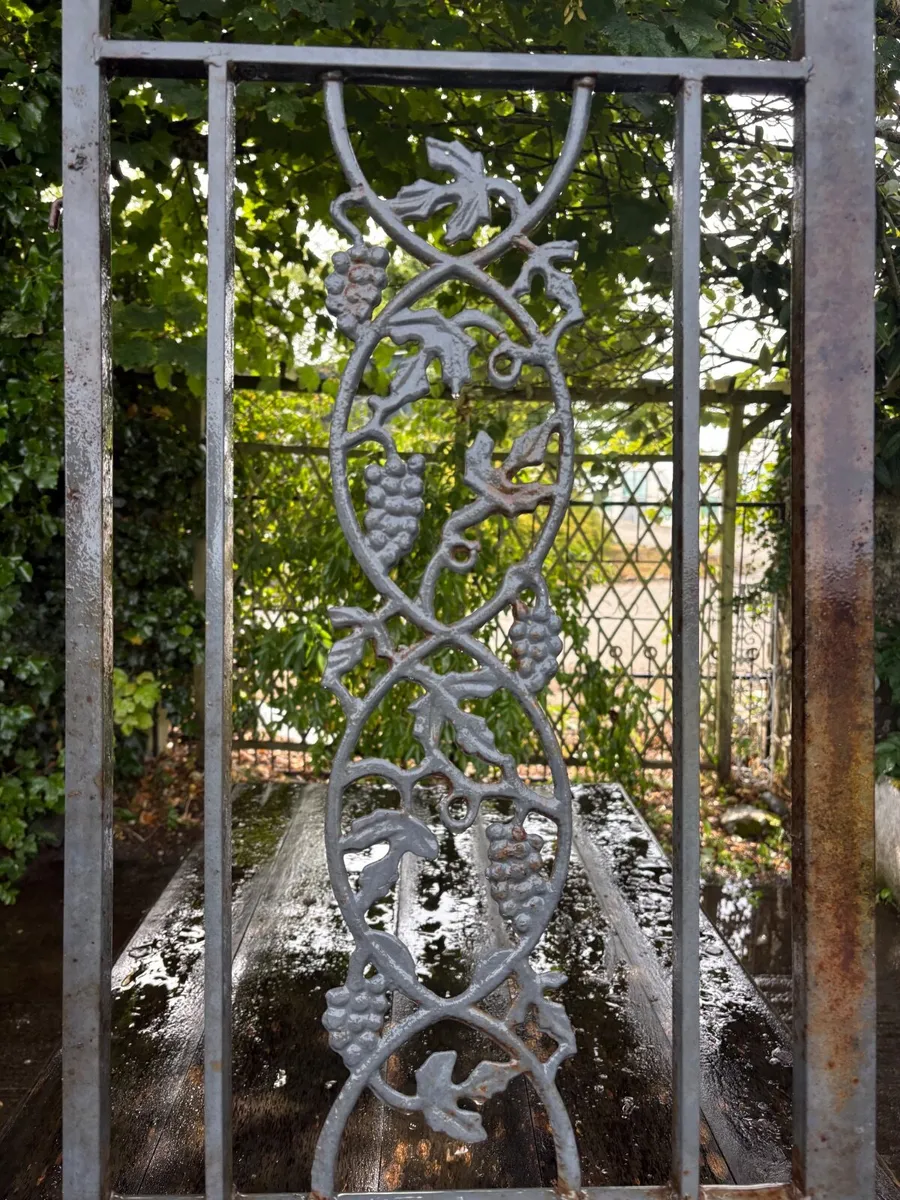 Garden trellis / vine racks - Image 2