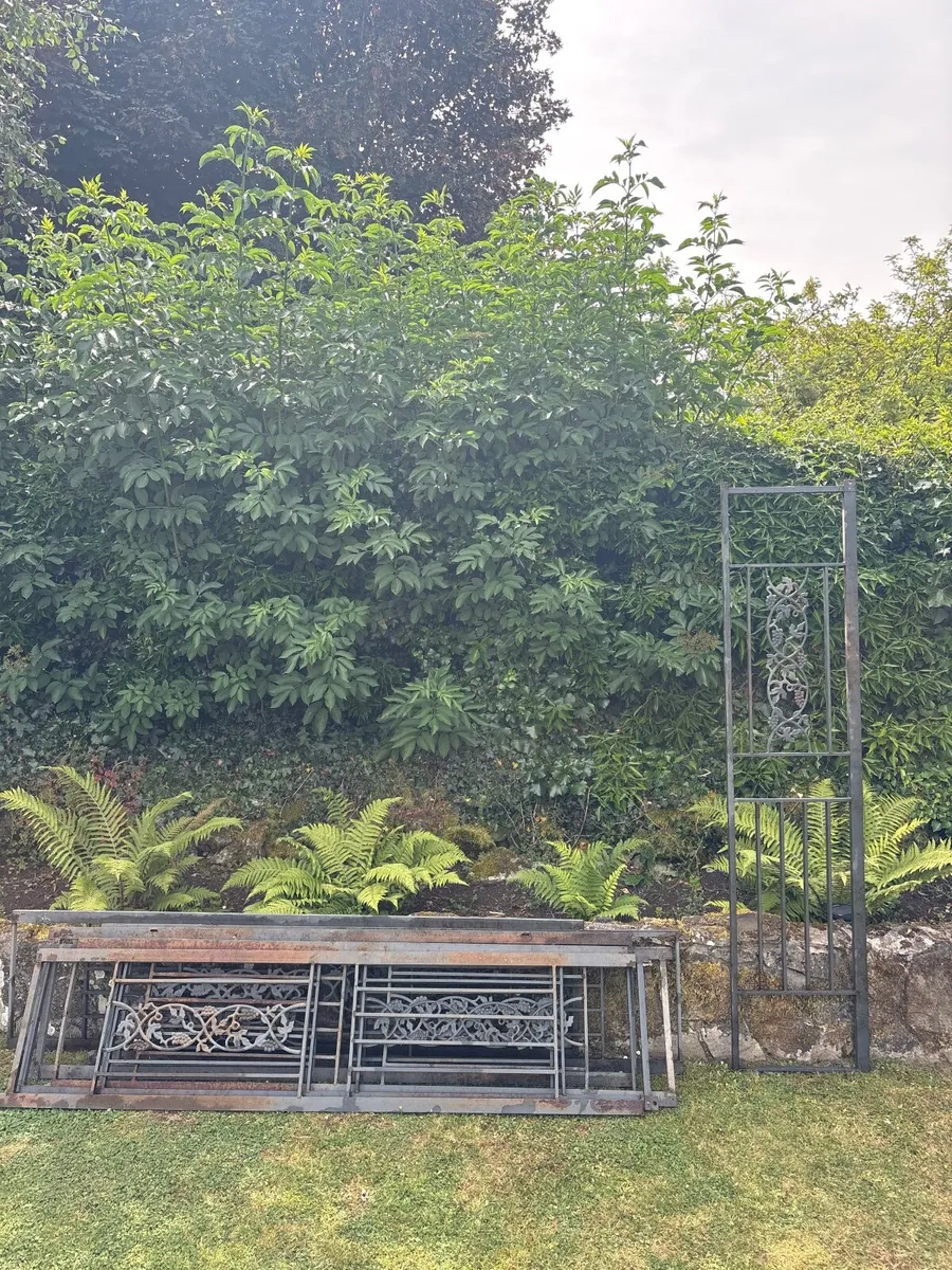 Garden trellis / vine racks - Image 3
