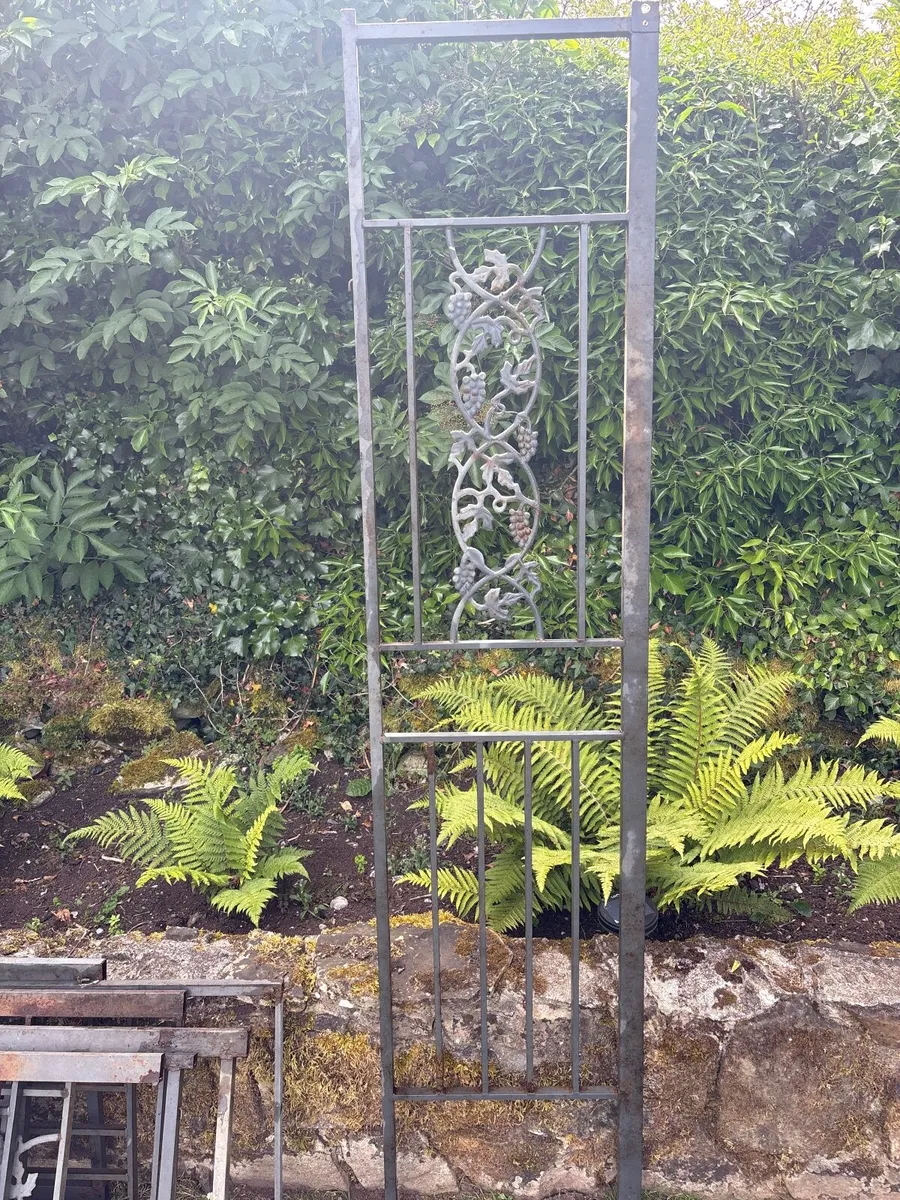 Garden trellis / vine racks - Image 1
