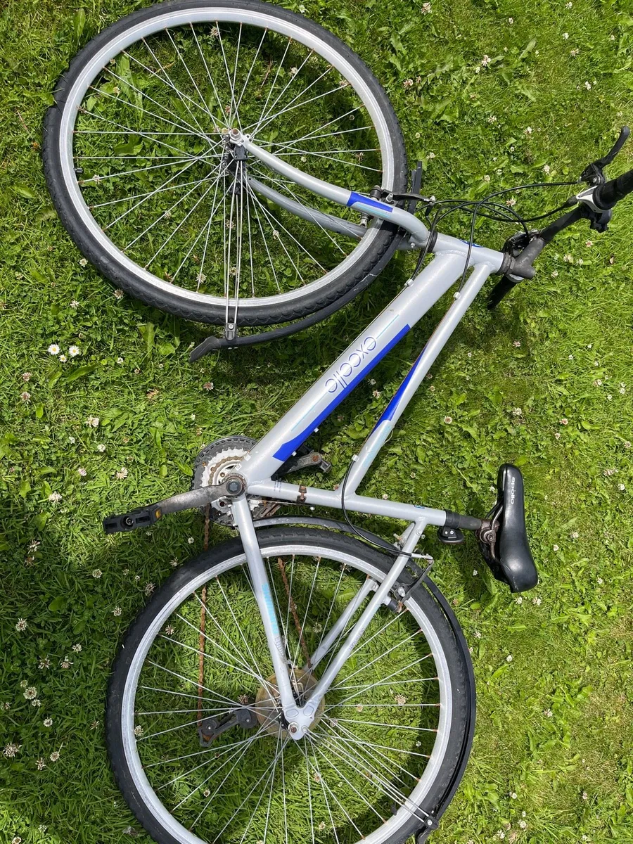 Apollo excelle women’s bicycle - Image 1
