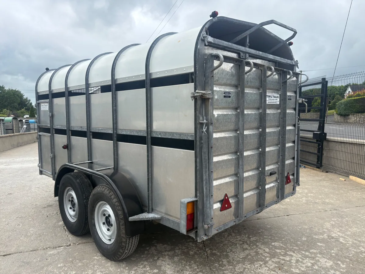 Nugent 12x6 With Decks - Image 3