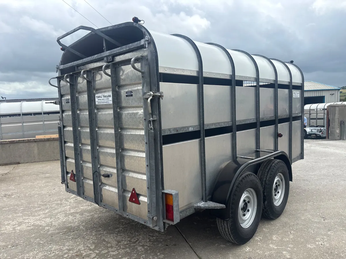 Nugent 12x6 With Decks - Image 4