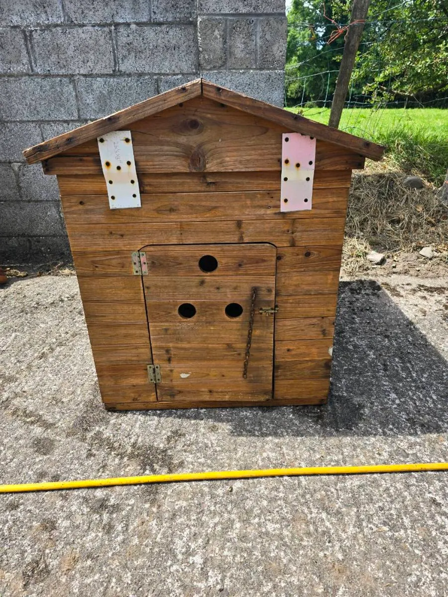 XL dog house, perfect clean and only few time used - Image 4