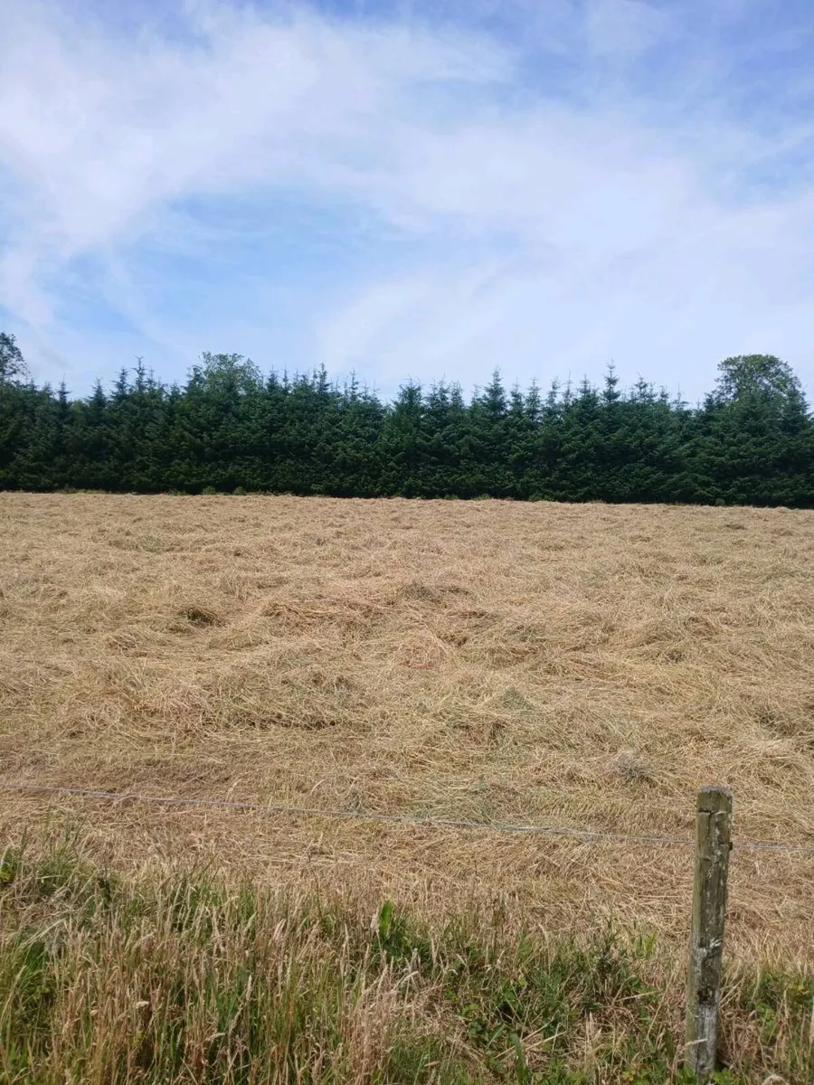 Round Hay Bales