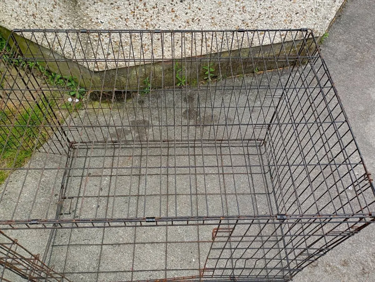 XL DOG CRATE - Image 3