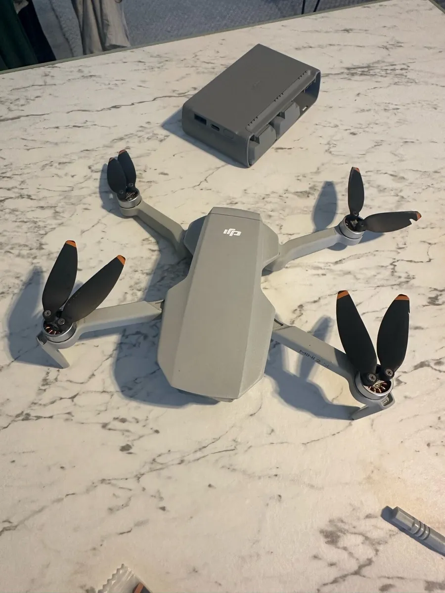 DJI Mini 2 - Image 2