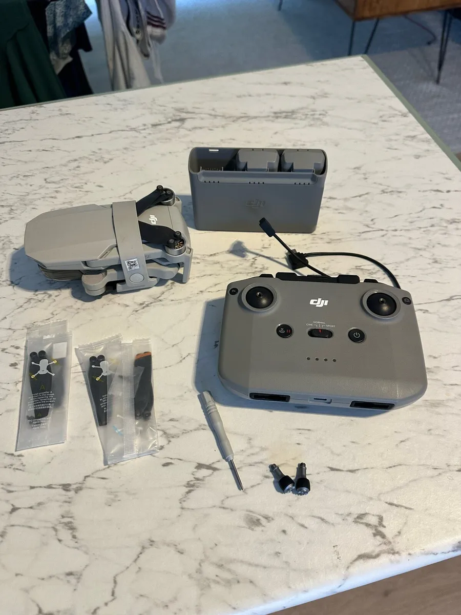 DJI Mini 2 - Image 1