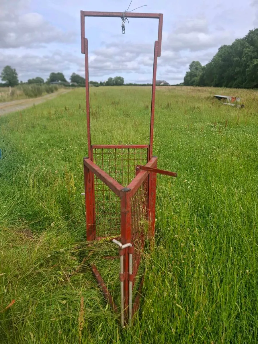 Sheep dividing gate. - Image 3
