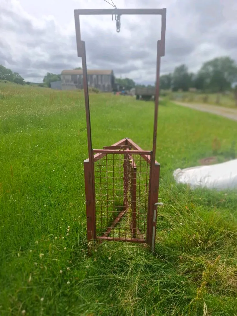 Sheep dividing gate. - Image 4