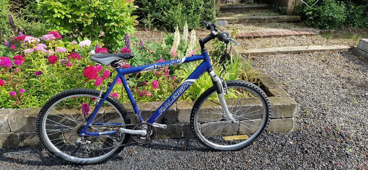 Bicycles - Image 4