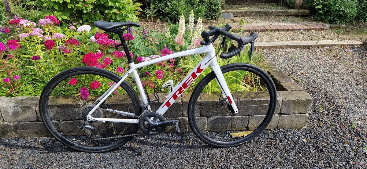 Bicycles - Image 1