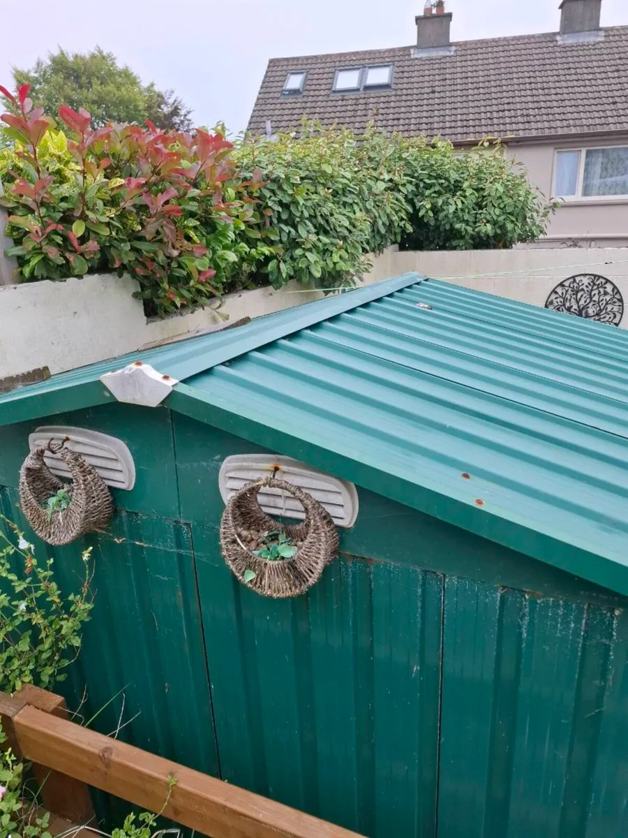 Shed - Image 3