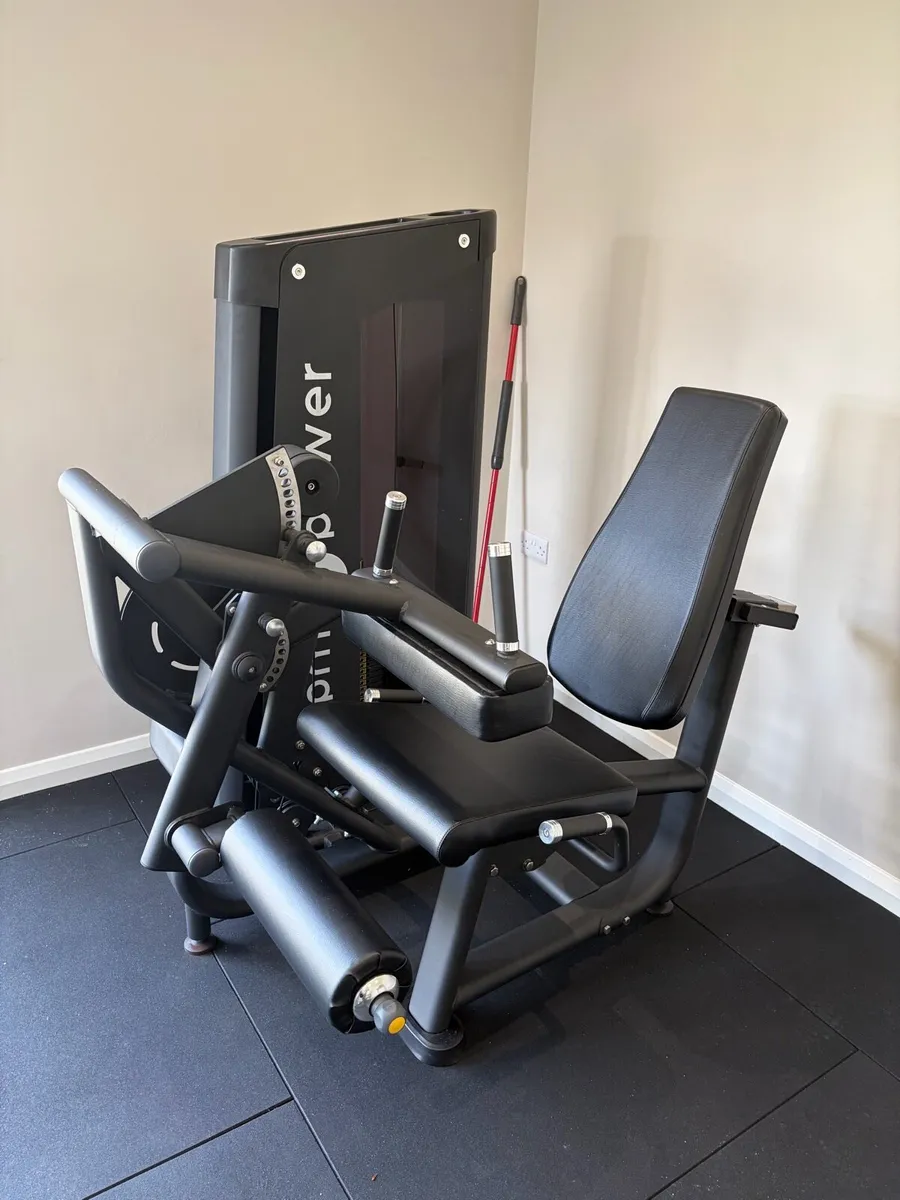 Seated Leg Extension & Leg Curl Machine - Image 1