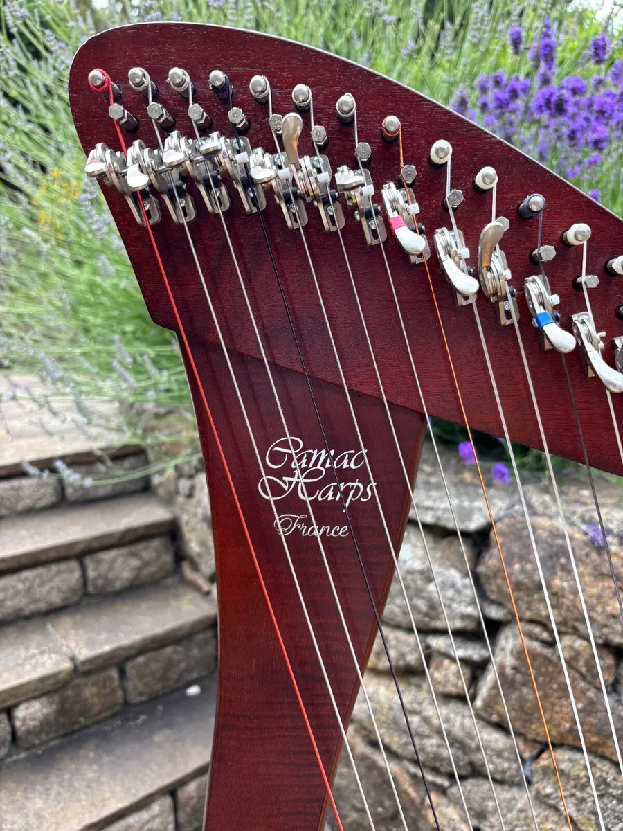 Harp - Image 2