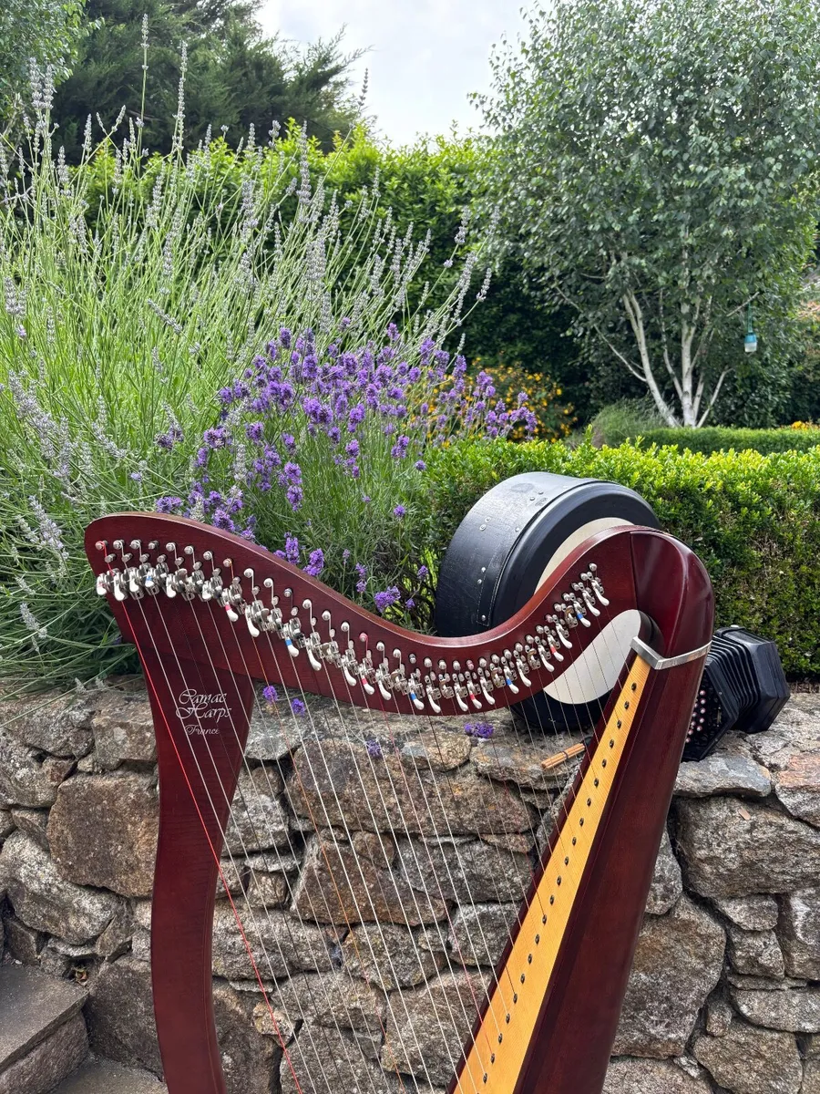 Harp - Image 4