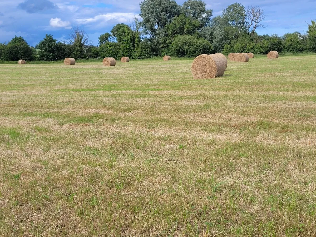 Good Hay  for Sale Co Meath - Image 1