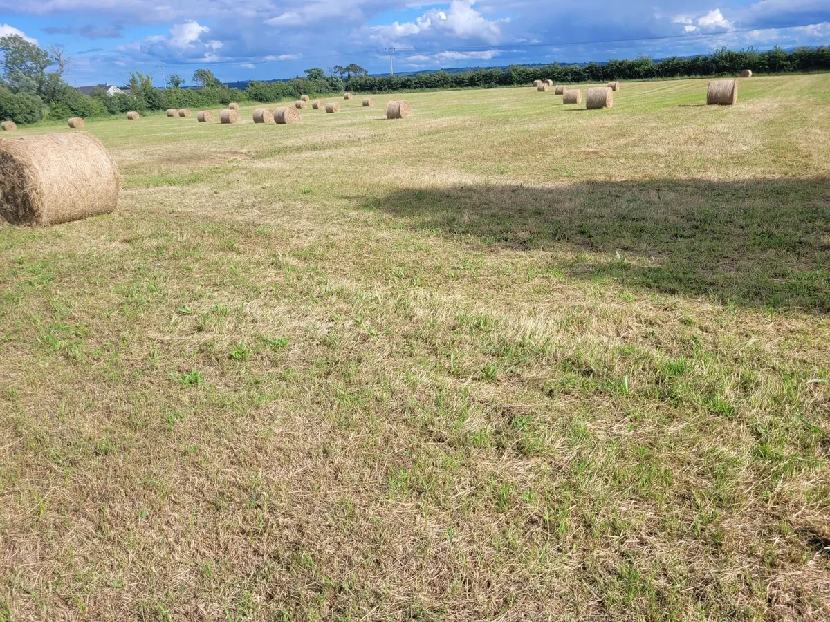 Good Hay  for Sale Co Meath - Image 2