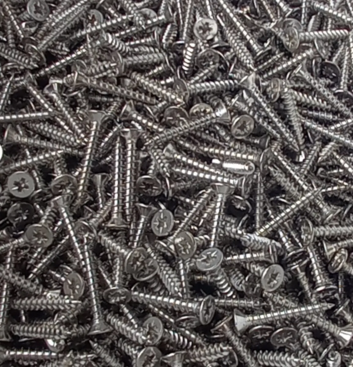 Stainless Steel Screws - Image 1