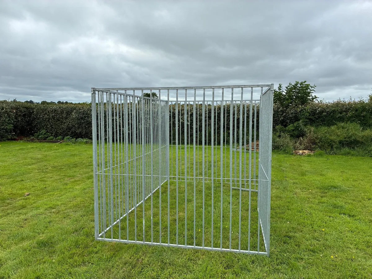 dog run - Image 3