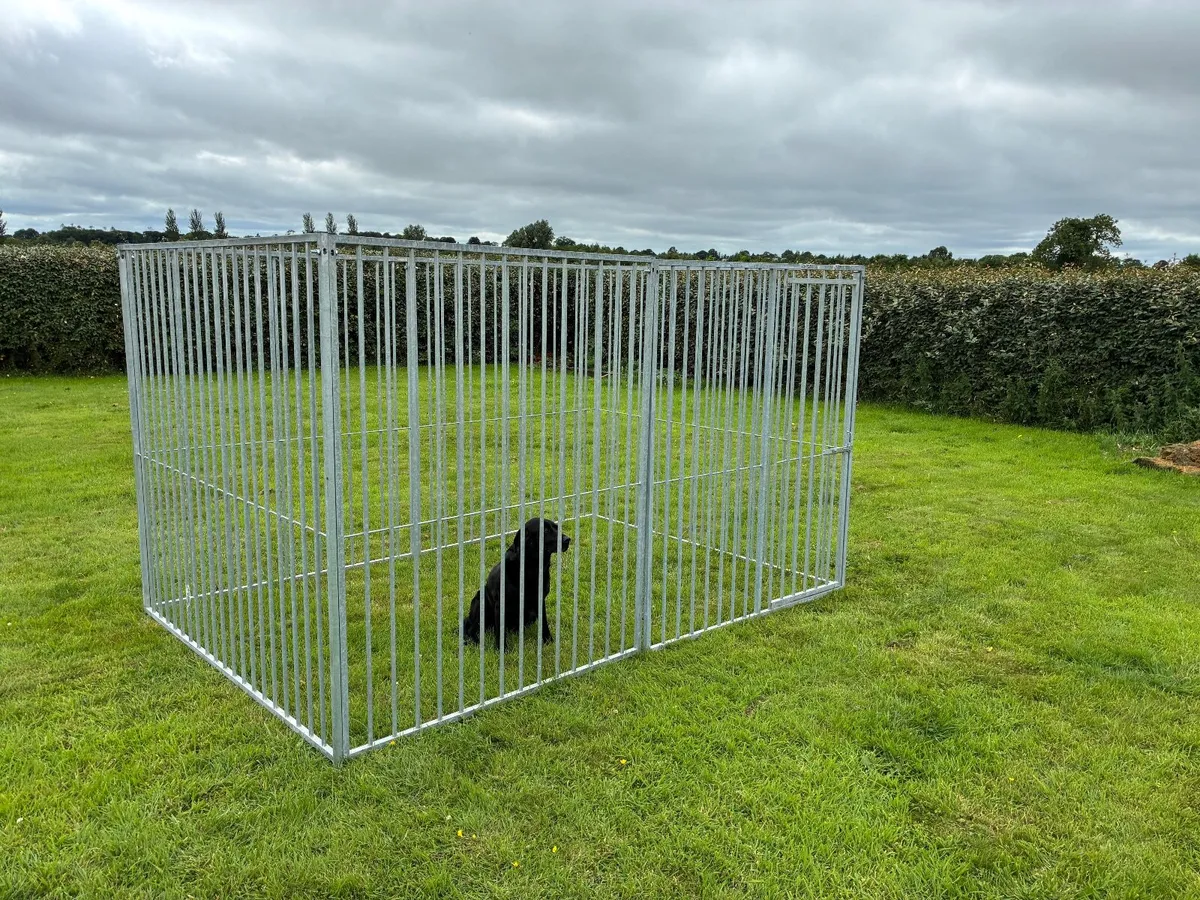 dog run - Image 4