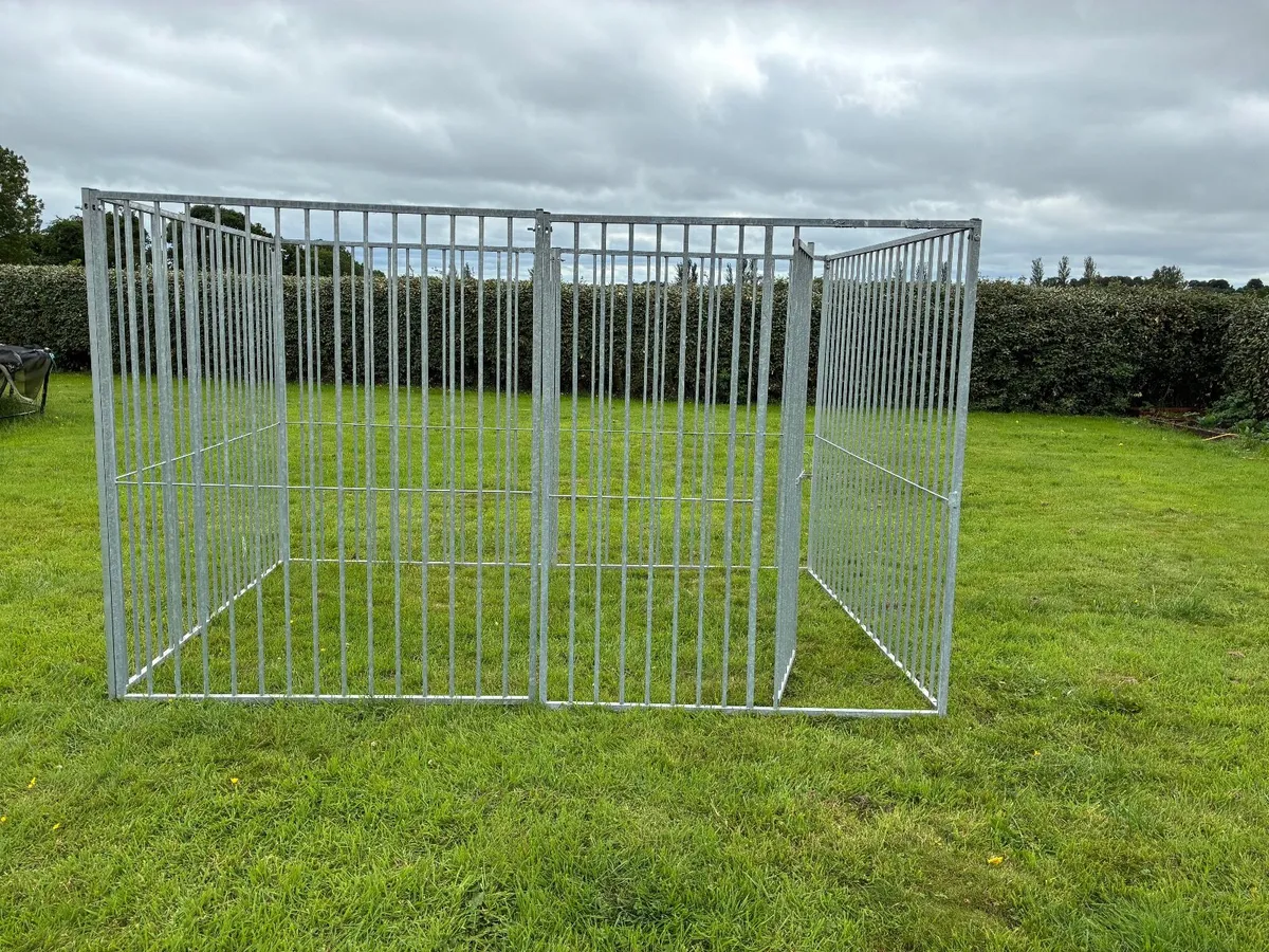 dog run - Image 2
