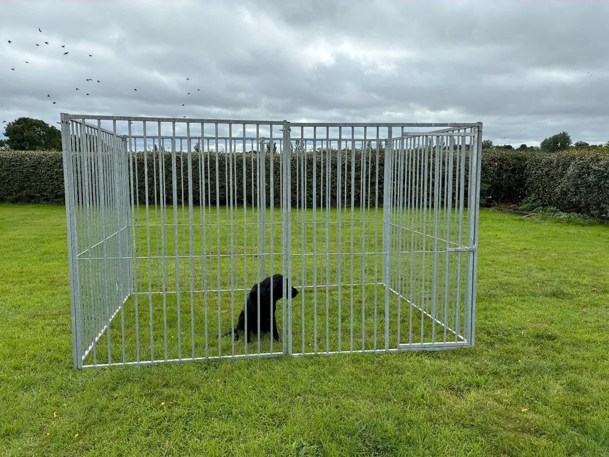 dog run - Image 1