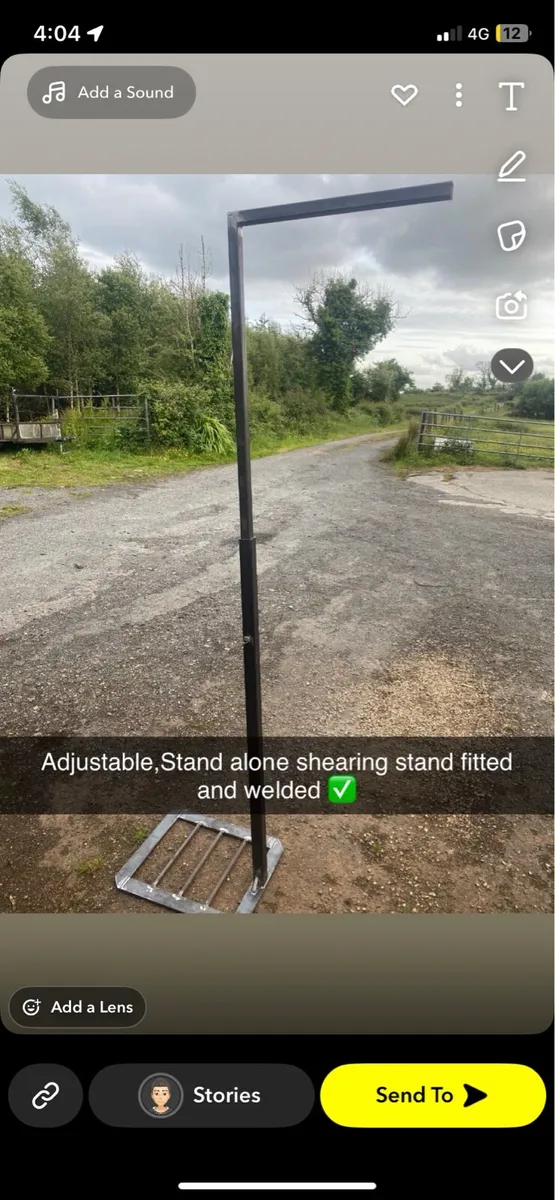 Sheep shearing stand