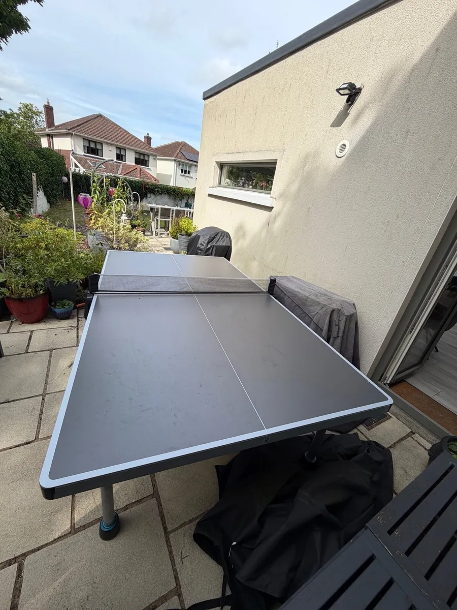 Table Tennis - Image 1