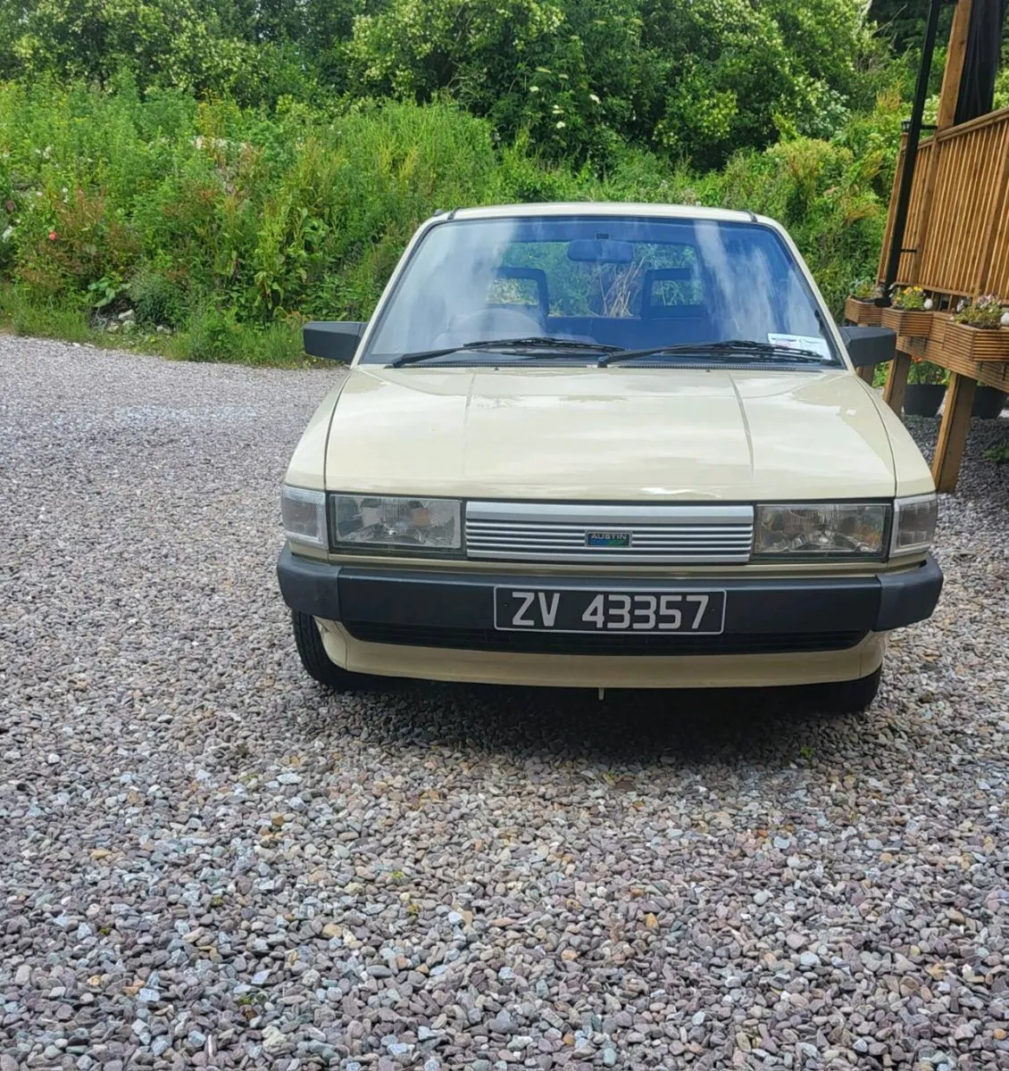 Austin Maestro - Image 2