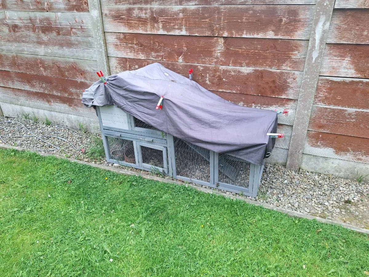 Large bird cage & hutch - Image 2