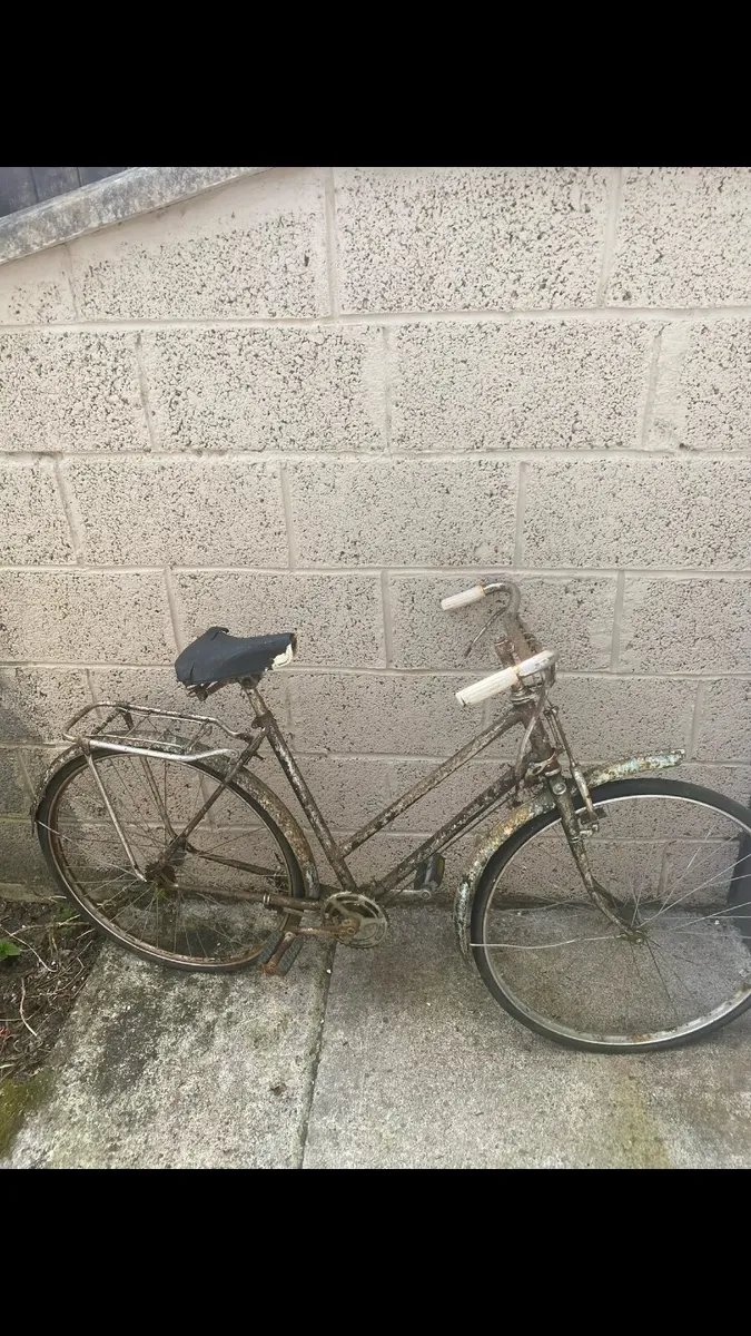 Trian26 bike