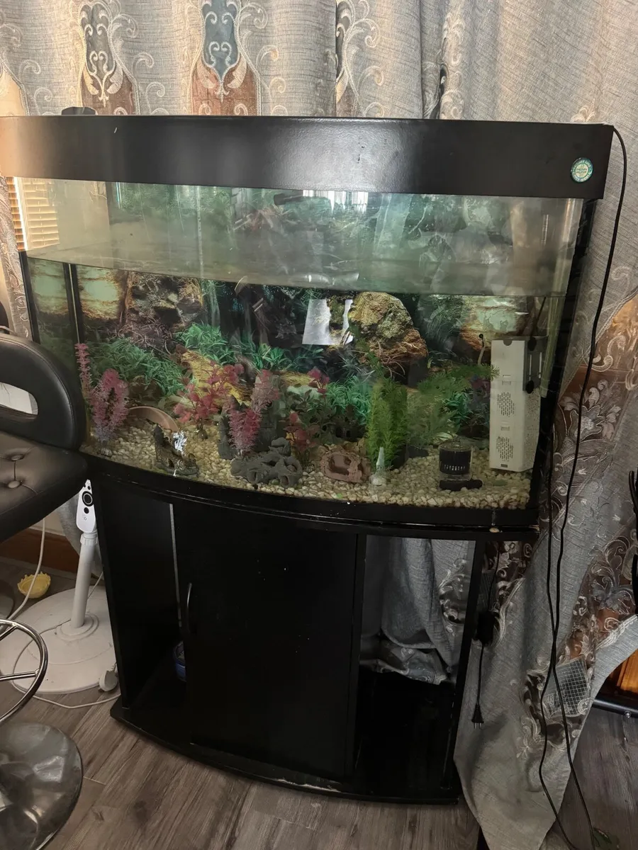 Fish tank