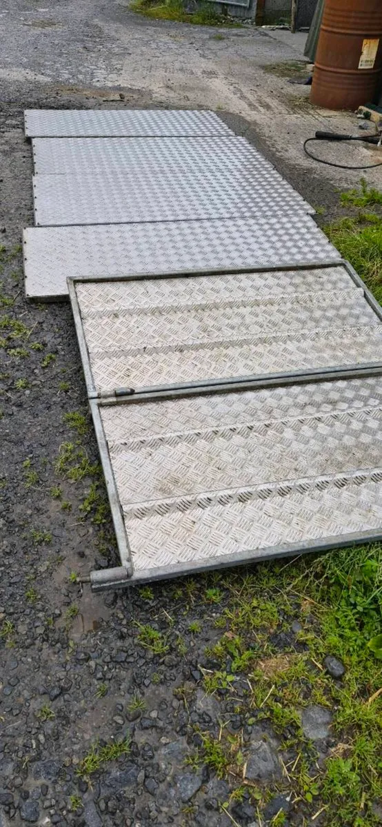 Sheep decks - Image 1
