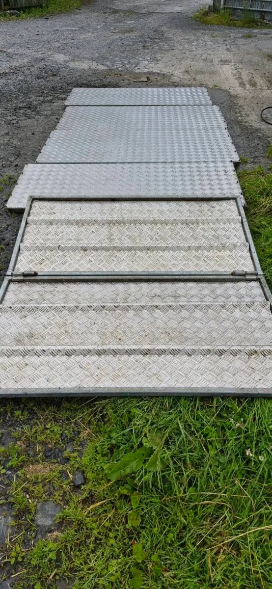 Sheep decks - Image 3