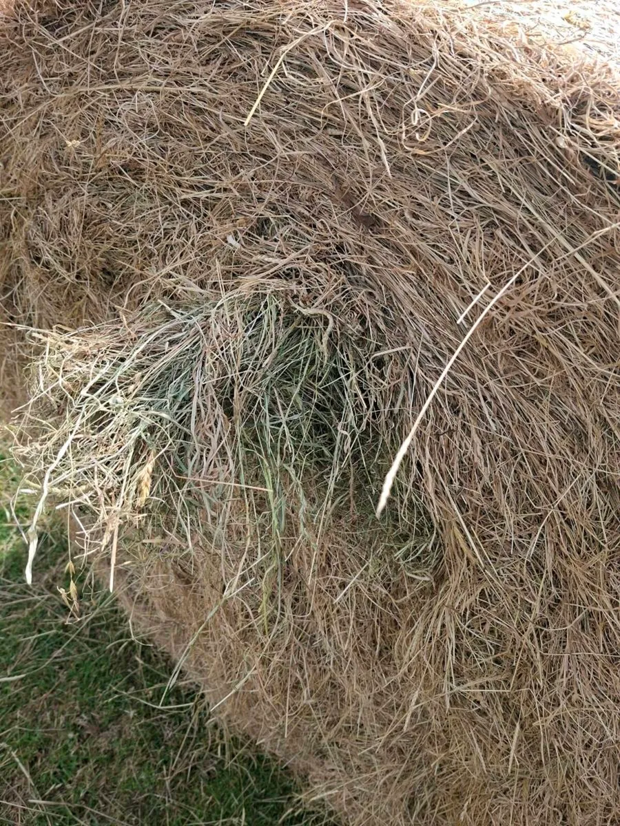 Hay 4x4 + small square - Image 1
