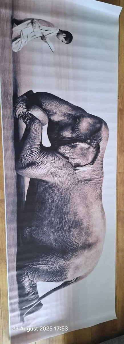 Canvas picture. - Image 2