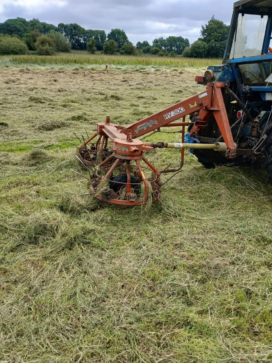 Hay Turner - Image 3