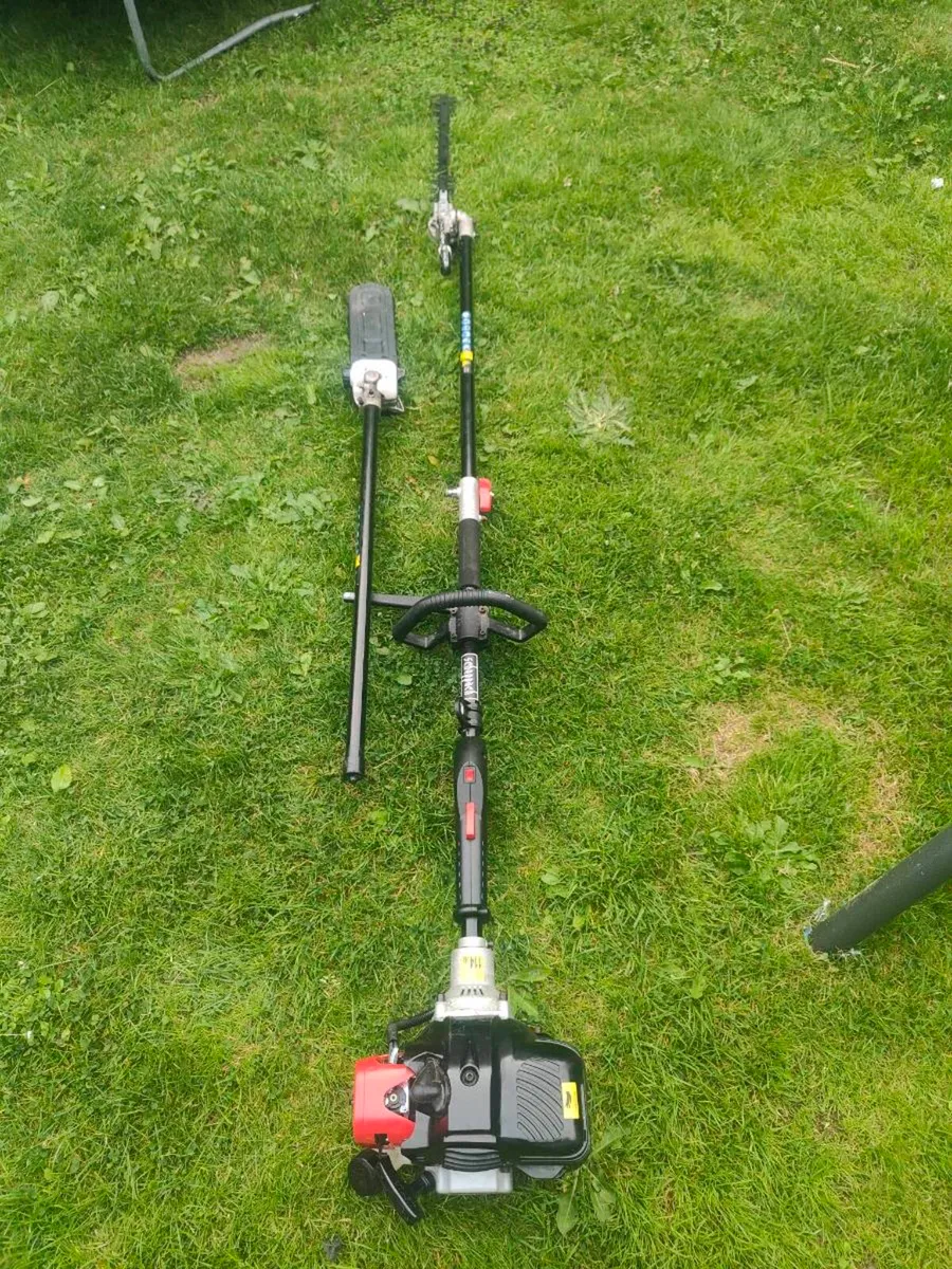 long ridge hedge trimmer and pruning - Image 1