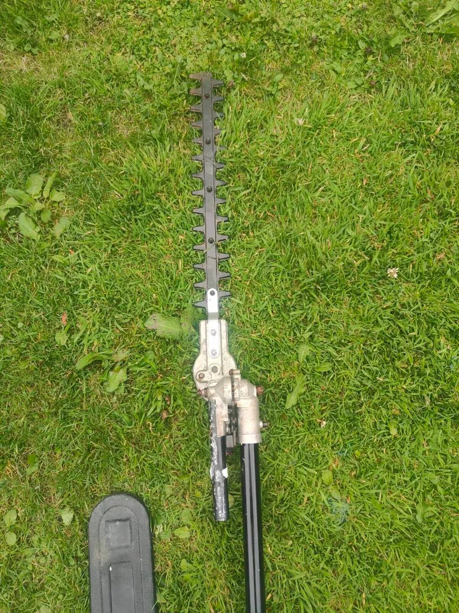 long ridge hedge trimmer and pruning - Image 3
