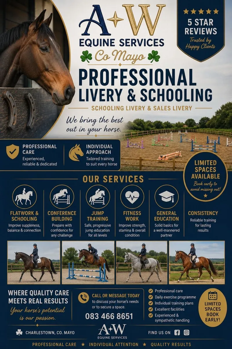 SCHOOLING LIVERY - Image 1